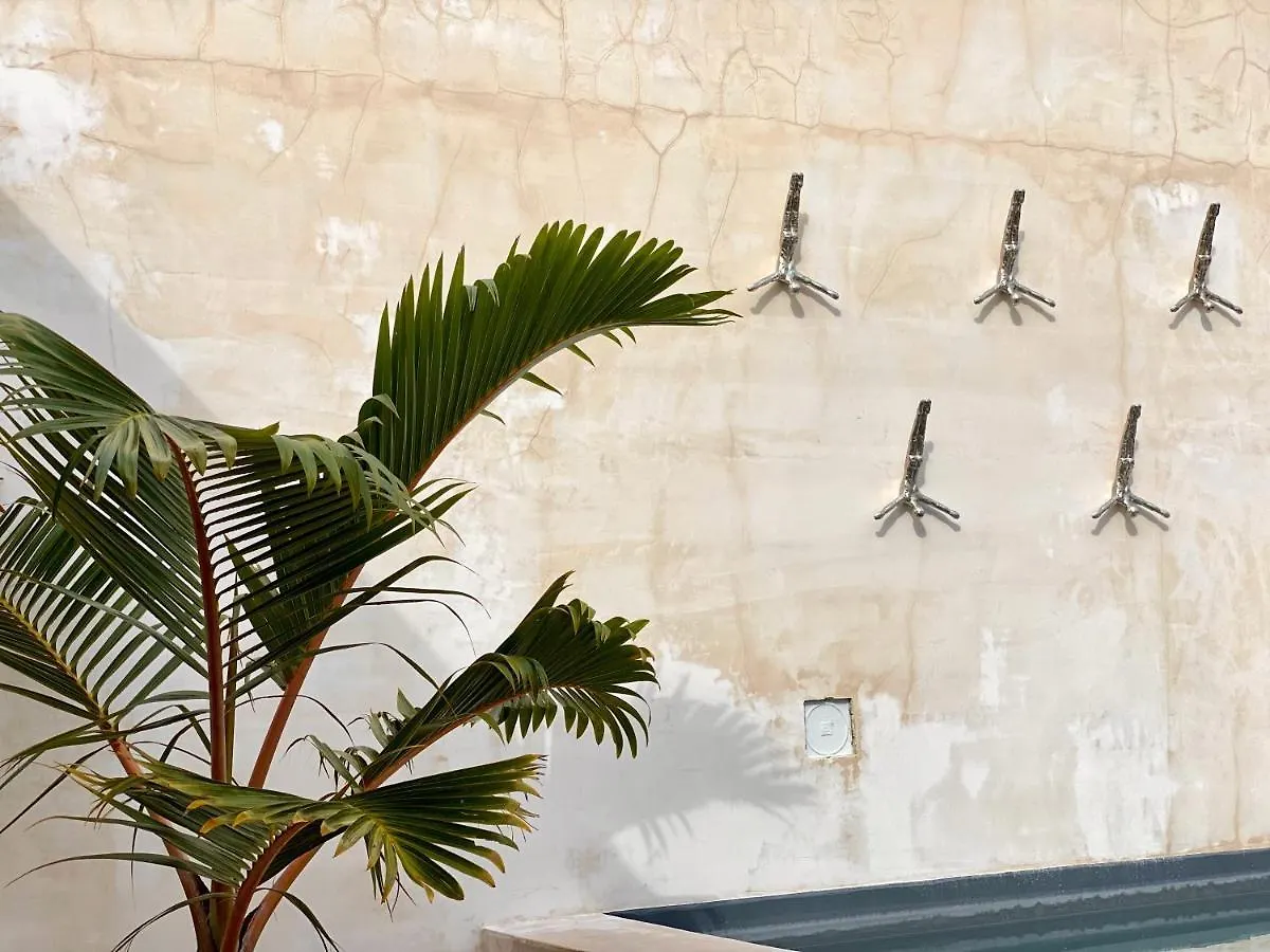 Apartamento Gardens Coba By Andiani Travel Tulum